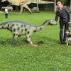 2021_hundeplus_dinopark_b7fd1b84-5e41-4fe9-83d9-defbeb884080