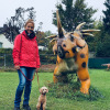 2021_hundeplus_dinopark_b95fed68-5729-4482-a3f5-b2773e4d3238