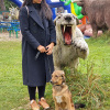 2021_hundeplus_dinopark_c1adf49c-e1e0-43fd-9ae2-9466ea7ec660