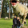2021_hundeplus_dinopark_c5870c44-1fe5-4916-b895-8dc95eac5454