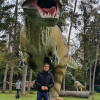 2021_hundeplus_dinopark_ce44625f-db4e-4500-8d85-e40360e8fbb5