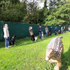 2021_hundeplus_dinopark_cf8bd6d7-d62e-4cb9-848a-692e8b2c0575