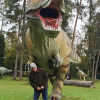 2021_hundeplus_dinopark_d6ad0d9d-0c57-4577-ba02-022cac01edf6