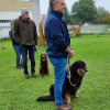 2021_hundeplus_dinopark_dc8ebebf-f245-4f8f-87f5-c9a762729968