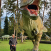 2021_hundeplus_dinopark_e06bec52-e7a7-43d9-a0b4-c1db7dc38ba0