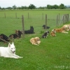 2012_diversegruppen_DSC07463