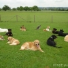 2012_diversegruppen_DSC07469