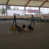 2015_diversegruppen_IMG_4884