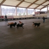 2015_diversegruppen_IMG_4886