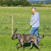 2021_hundeplus_divGruppen_IMG_0212