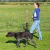 2021_hundeplus_divGruppen_IMG_0213