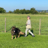 2021_hundeplus_divGruppen_IMG_0222