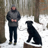 2021_hundeplus_divGruppen_IMG_5441
