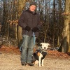 2021_hundeplus_divGruppen_IMG_5597