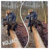 2021_hundeplus_divGruppen_IMG_6121