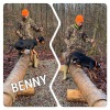 2021_hundeplus_divGruppen_IMG_6122