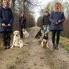 2021_hundeplus_divGruppen_d1251675-3461-4137-bd06-caaaba9e3628