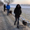 2021_hundeplus_divGruppen_eb11a759-c519-4d49-9600-d58b10b79a7b