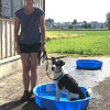 2021_hundeplus_divgruppen_03273048-8ce2-4f32-9f2f-74f8f39fb519