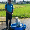 2021_hundeplus_divgruppen_07e825f9-8f41-4188-937c-715637d2d962