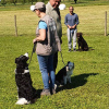 2021_hundeplus_divgruppen_1d75a9bd-e53b-448d-82e6-22bbcee7f670