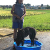 2021_hundeplus_divgruppen_228e7183-d257-4683-a5ea-4ffd69126892