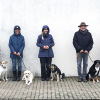 2021_hundeplus_divgruppen_26e79572-638f-4467-953d-1716d4ac74e9