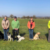 2021_hundeplus_divgruppen_2ffa2ae0-4bee-477d-9572-675271ae2261
