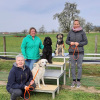 2021_hundeplus_divgruppen_3cd9c49b-ea08-40d1-b3ab-7d1f799e1248