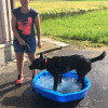 2021_hundeplus_divgruppen_417cf9af-1b3c-465b-adf8-3603efe9d055