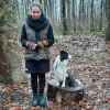 2021_hundeplus_divgruppen_43cc8f82-231b-4b2a-8b68-c4699c8591c2