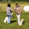 2021_hundeplus_divgruppen_47d86455-b9de-42f6-9b54-e5b08ee2678e