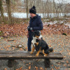 2021_hundeplus_divgruppen_5c2ef811-74b4-4a97-b2b9-f207b72f3290
