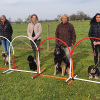 2021_hundeplus_divgruppen_601fcb89-d4d5-4f4d-bb16-30f57c9179ca