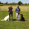 2021_hundeplus_divgruppen_70eccde8-c557-4732-8784-a74dcbf68795