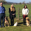 2021_hundeplus_divgruppen_7310e5e6-568b-48e0-8260-6f7254ca1700