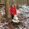 2021_hundeplus_divgruppen_73192689-d3b0-4490-8158-db3b31658030