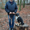 2021_hundeplus_divgruppen_77aafa07-7d5b-4c90-8cfc-ba0118cf5691