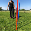 2021_hundeplus_divgruppen_77ad2ce1-ae21-413f-b015-0ad27cb8b08e