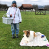 2021_hundeplus_divgruppen_816ec07d-402e-446e-9086-7103779c6a2d