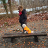 2021_hundeplus_divgruppen_93edb1d5-ab30-4529-8163-29c6a2f12c32