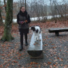 2021_hundeplus_divgruppen_95afbc6b-1e5f-45a8-b08e-67feed33ef26