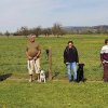 2021_hundeplus_divgruppen_9a7c3a7a-b583-460d-9437-c43877d2ddcd