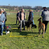 2021_hundeplus_divgruppen_IMG_0263