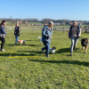 2021_hundeplus_divgruppen_IMG_0267