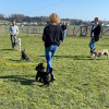 2021_hundeplus_divgruppen_IMG_0291