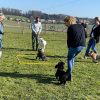 2021_hundeplus_divgruppen_IMG_0294