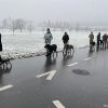 2021_hundeplus_divgruppen_IMG_4731