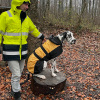 2021_hundeplus_divgruppen_IMG_5358