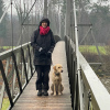2021_hundeplus_divgruppen_IMG_5384